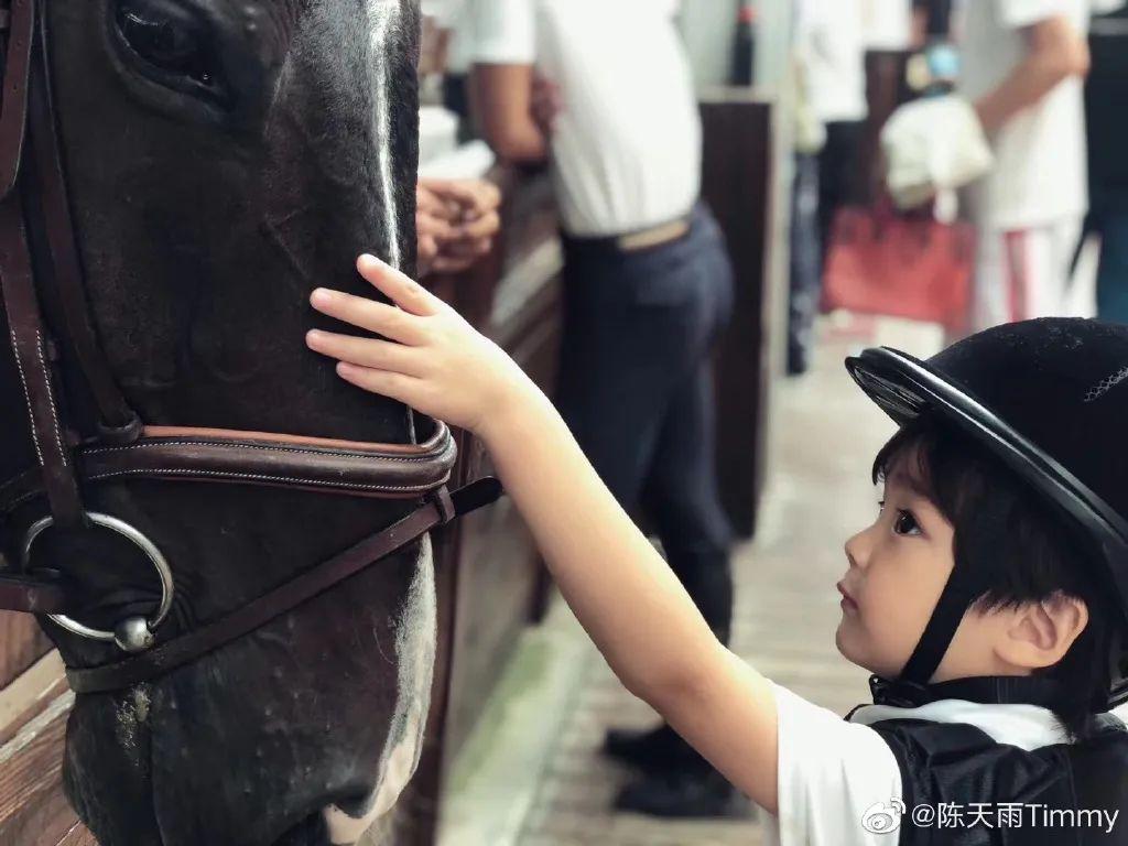 好男人免费高清在线直播探索网络世界，遇见好男人——免费高清在线直播的魅力-第1张图片