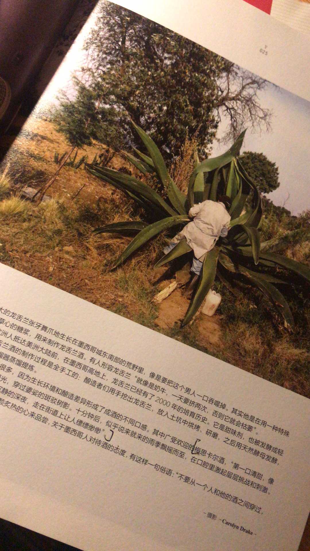 体育课叶渺渺的小说叶渺渺与体育老师C的课堂时光-第2张图片