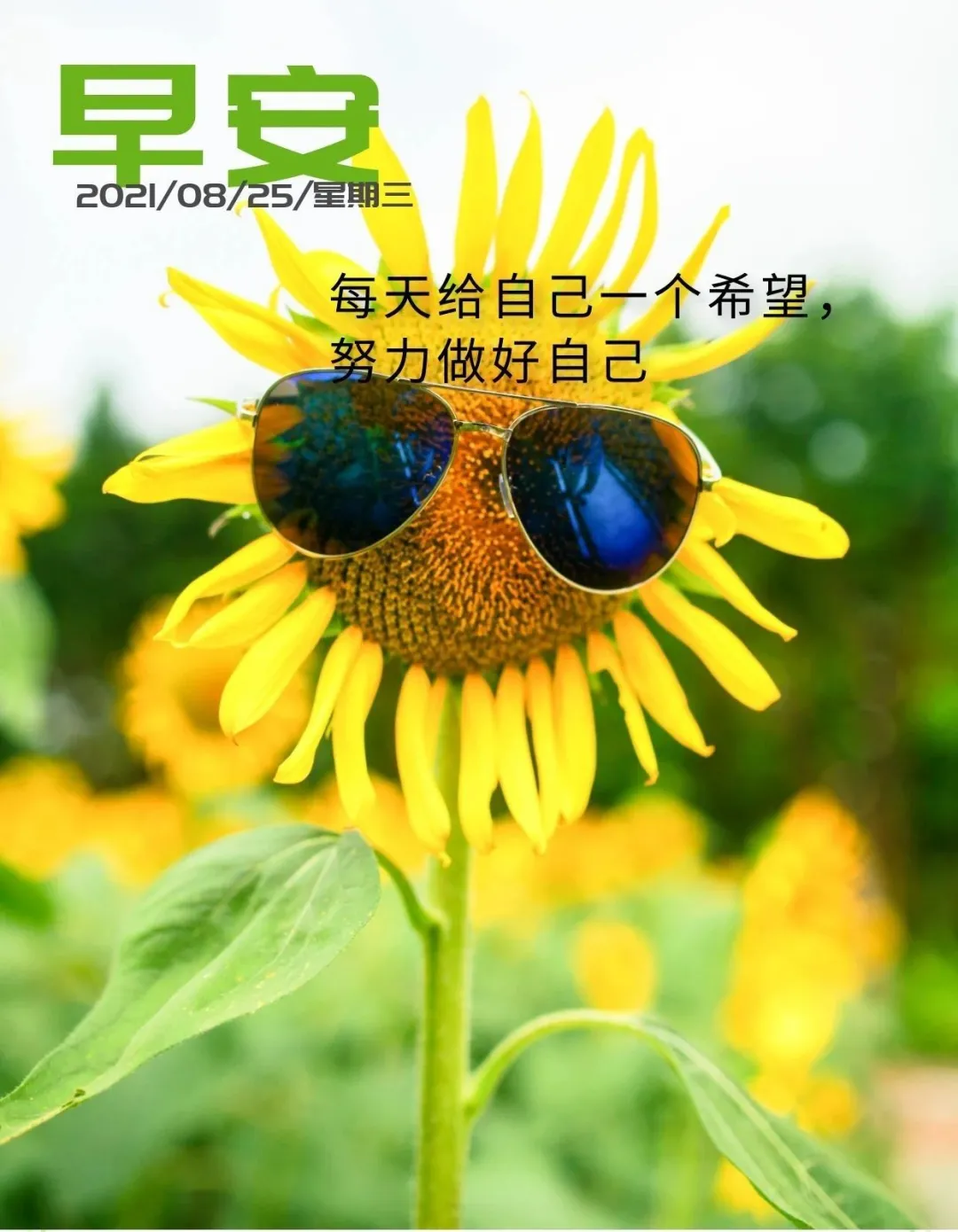正能量网站——免费获取正能量的源泉-第2张图片