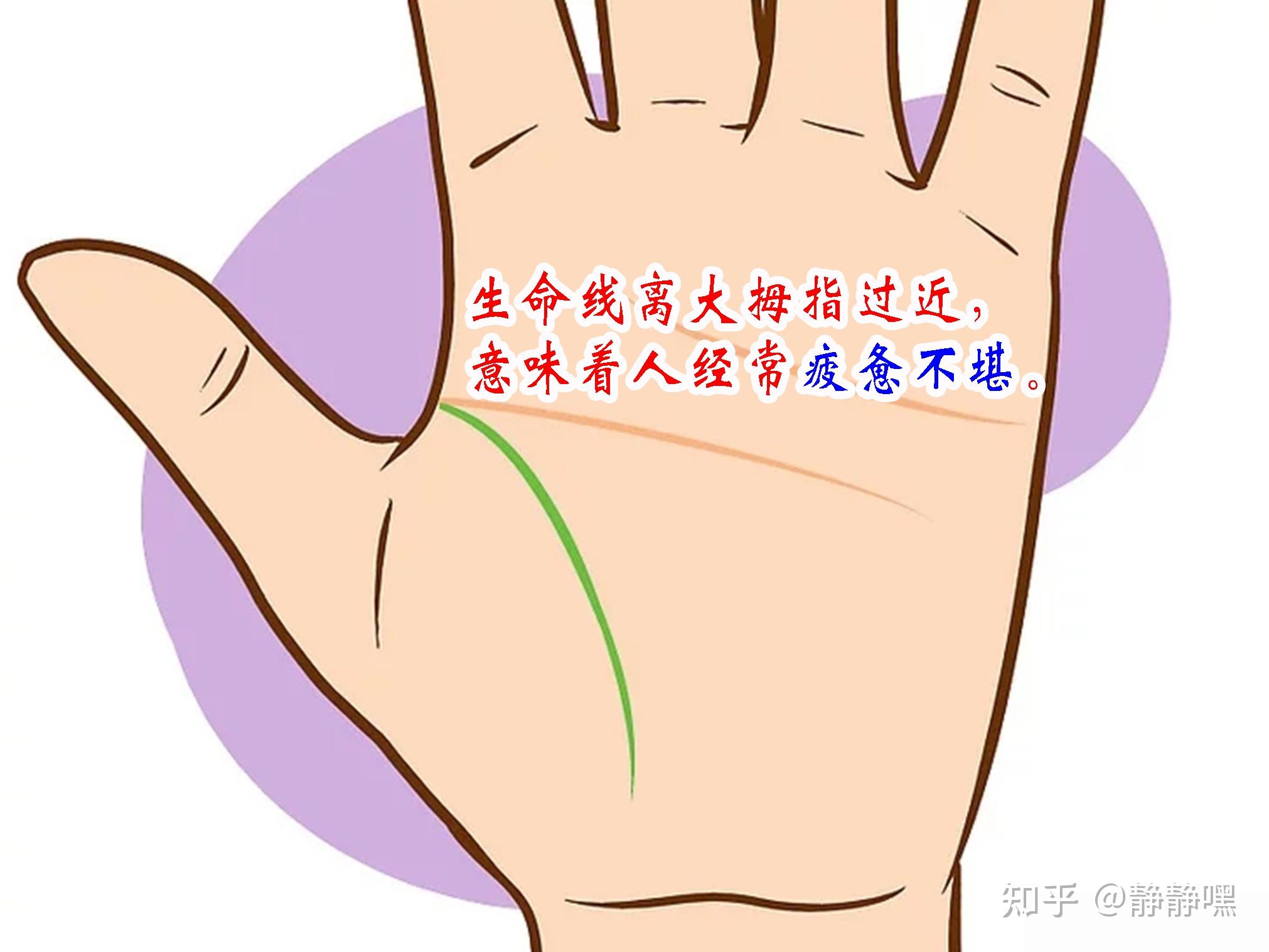 生命线 攻略生命线攻略，探索与成长之路-第2张图片
