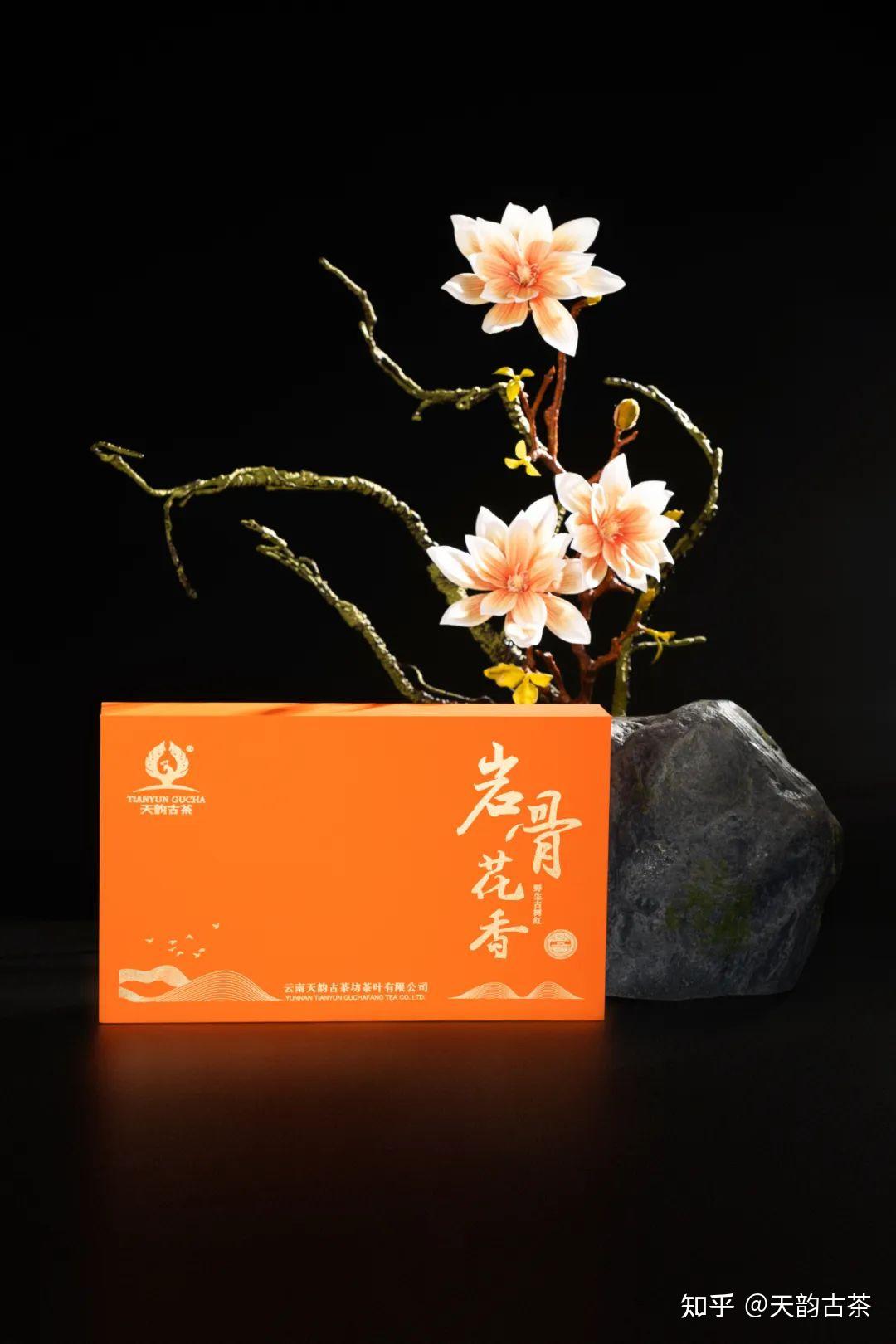 野骨骨科1 v1，深入探讨与解析-第2张图片