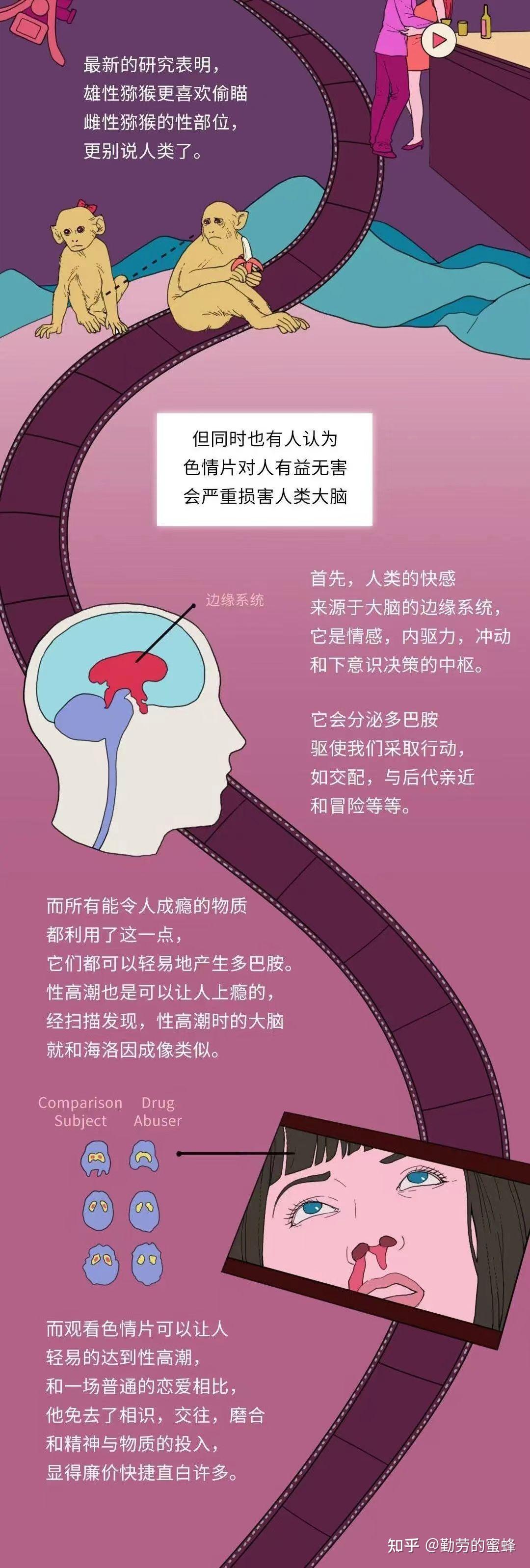 优质H片推荐指南-第2张图片