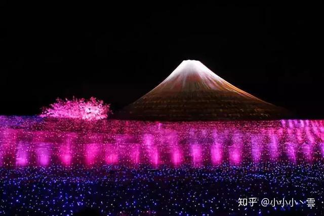 在小小的花蕾深处XL樱花翻译探索在小小的花蕾深处——XL樱花的奥秘-第1张图片