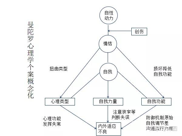 小YIN娃日记H的探索与思考