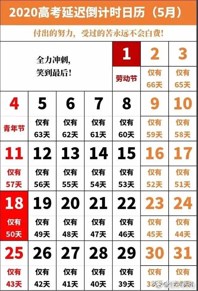 免费网站在线观看人数在哪儿免费网站在线观看人数统计与解析