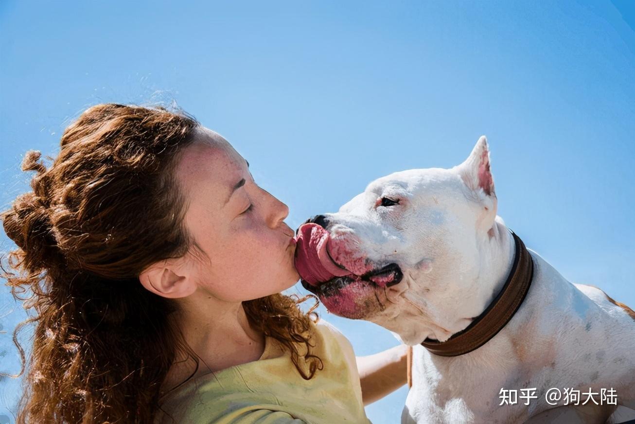 舔舐阴部能否感染艾滋病关于舔舐阴的探讨