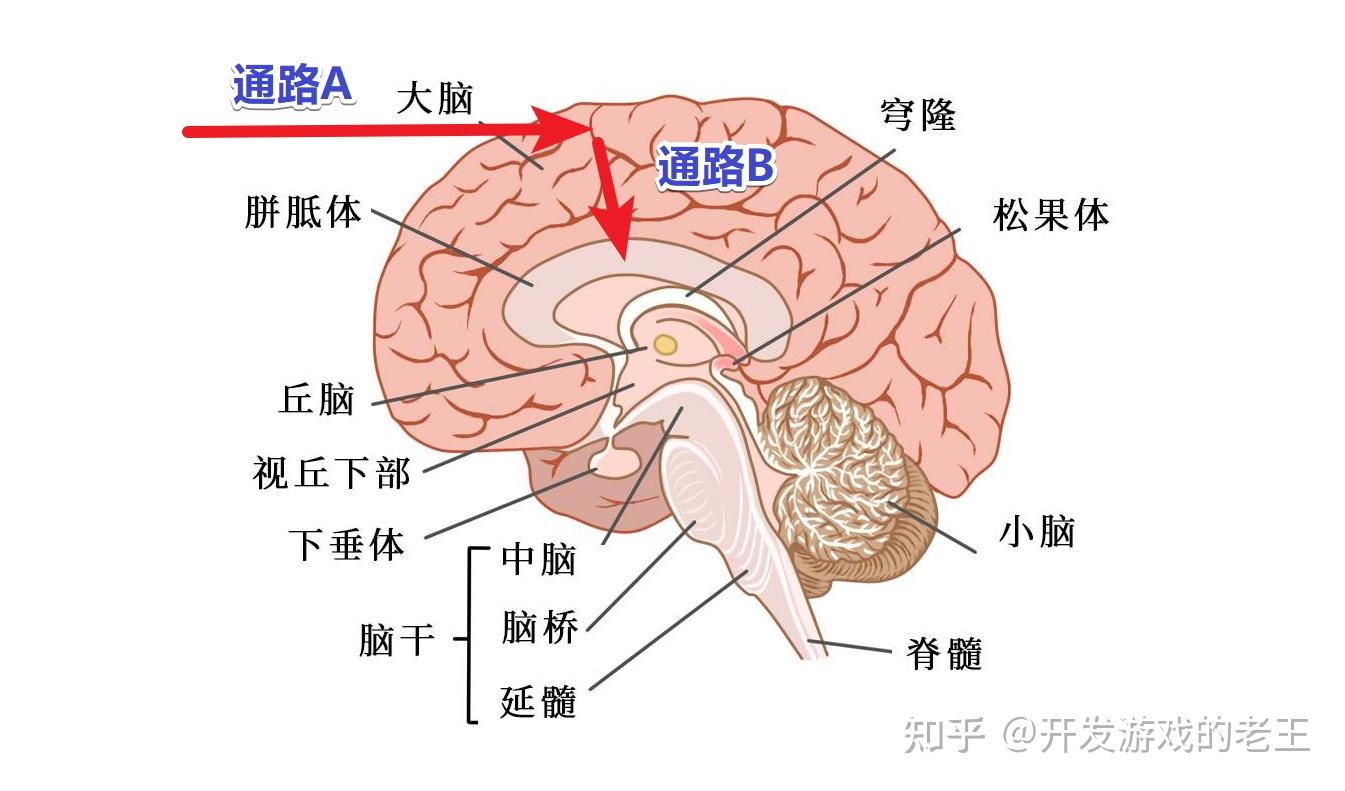 牛奶触觉，一场感官的奇妙之旅-第1张图片
