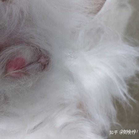 被口什么意思怎么读音被口，一种怎样的体验？——知乎分享