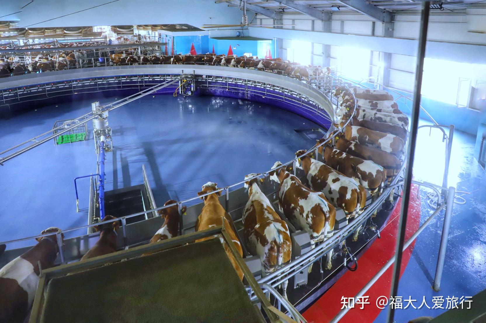 奶牛app福引导网站大全入口最新版功能介绍奶牛app福引导网站大全入口——探索与发现