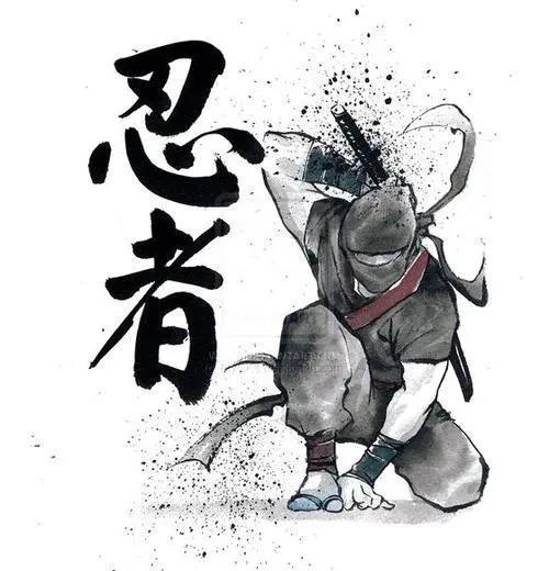 忍者之刃多少钱忍者之刃激活码，解锁神秘忍者的秘密武器