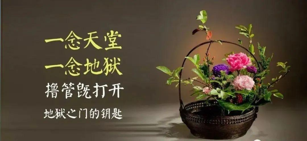 如何访问禁慢天堂如何正确理解与访问网络资源——以禁慢天堂为例-第2张图片