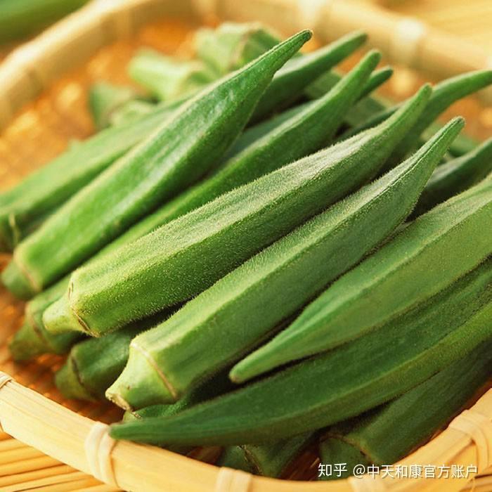 绿巨人app下载秋葵绿巨人秋葵黄瓜榴莲丝瓜与现代科技下的探索-第2张图片
