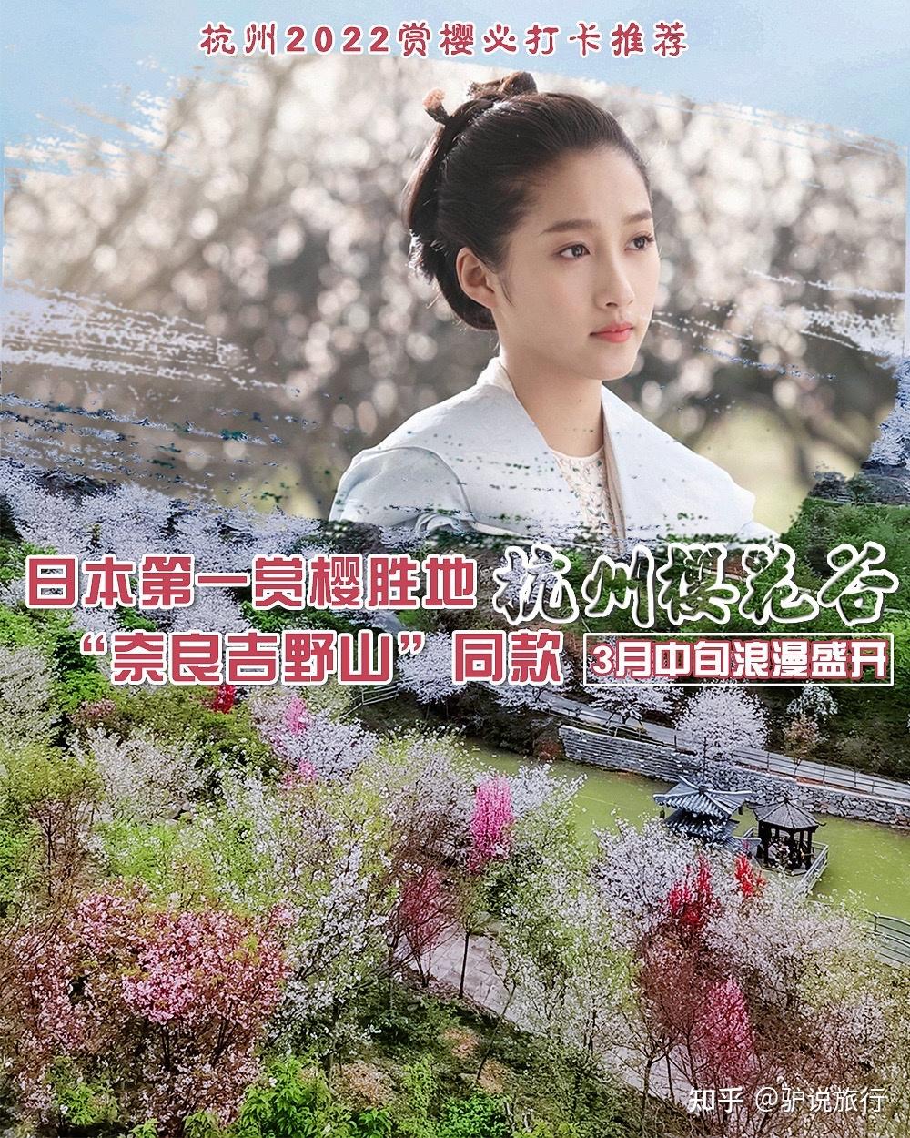 樱花官方正版官网入口指南