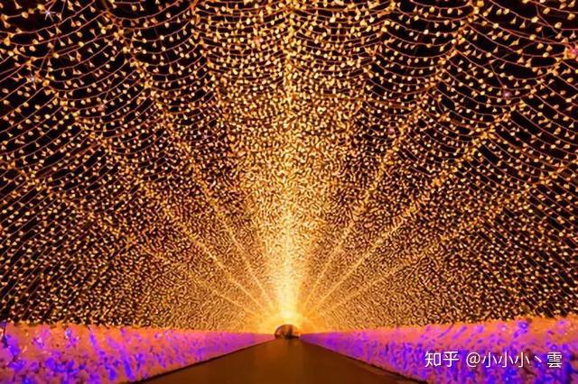 在小小的花蕾深处XL樱花翻译探索在小小的花蕾深处——XL樱花的奥秘-第2张图片