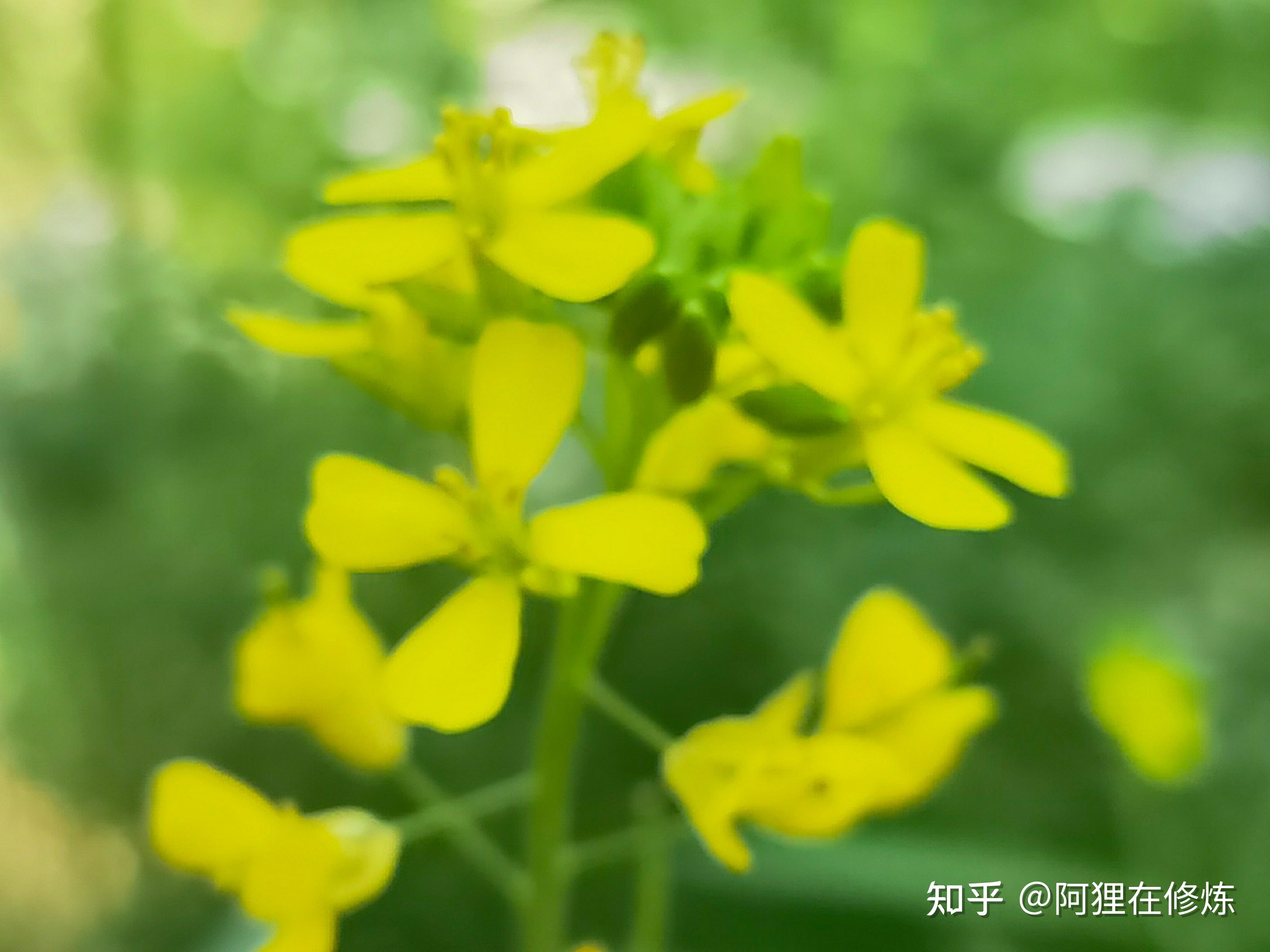 久草cm探索久草CM的魅力-第1张图片