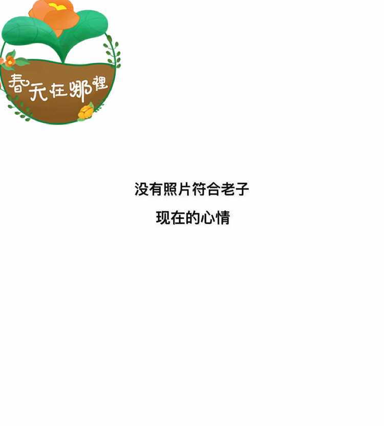 网络白痴网络白痴的自我成长之旅-第1张图片