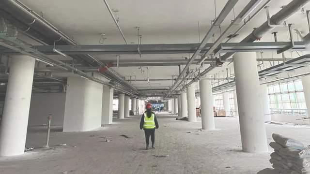 国产bim国产大逼——品质与力量的象征