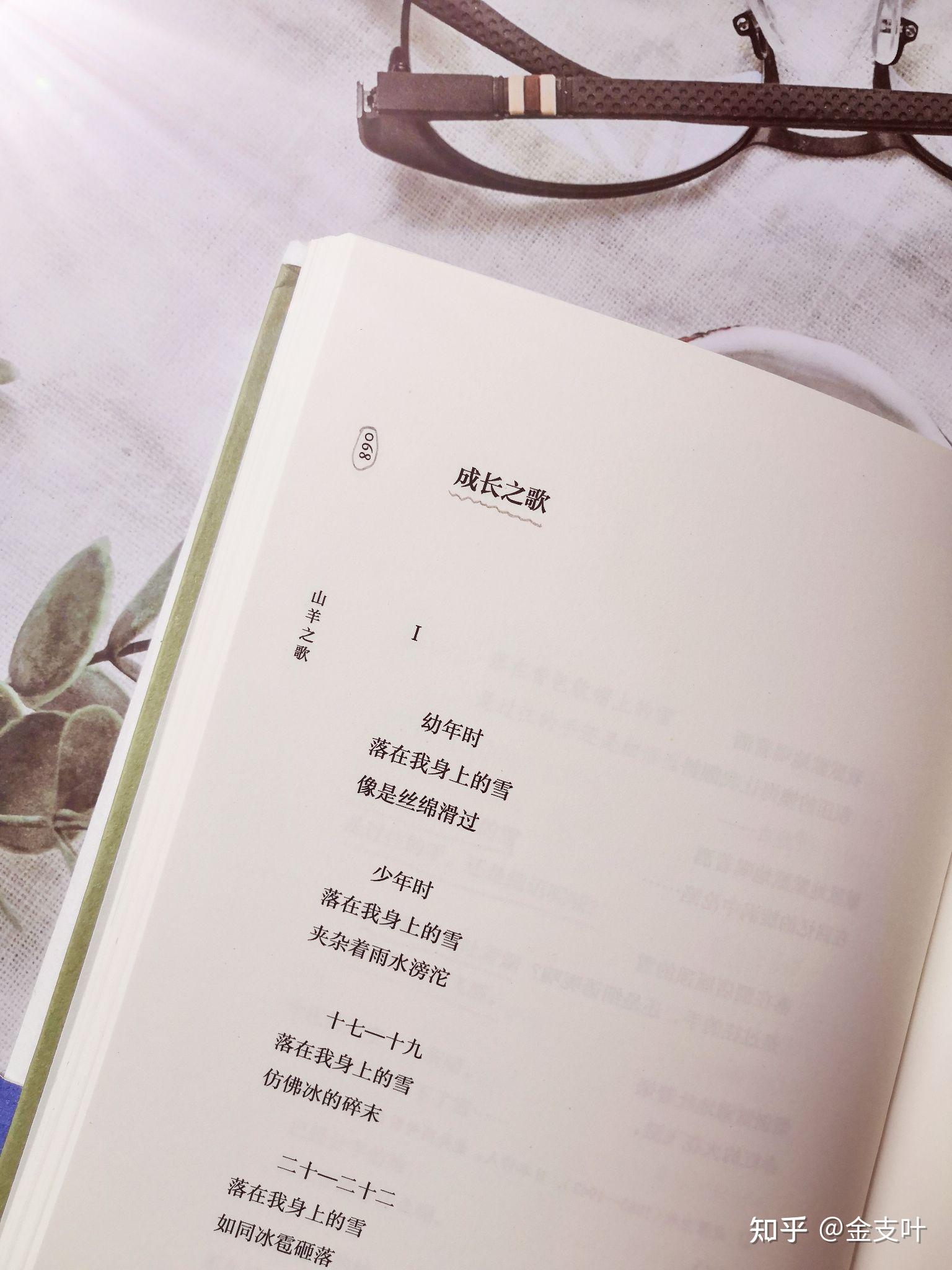 日日之歌-第1张图片
