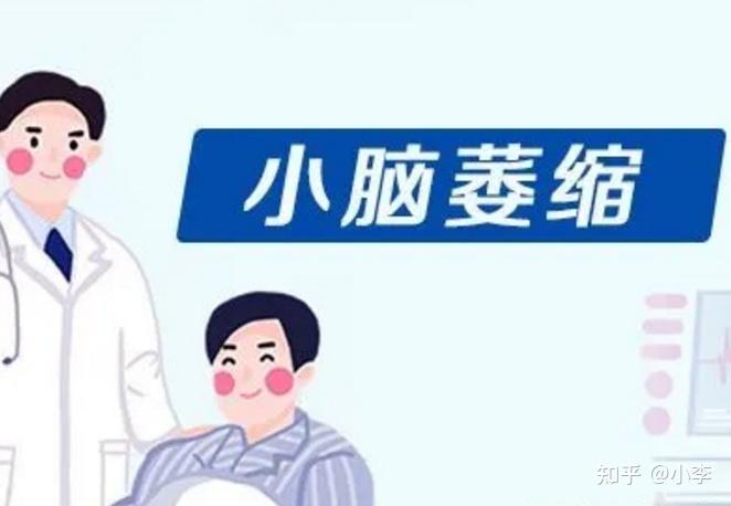 自我调整与精准定位——从扶稳到坐下的视频记录-第1张图片