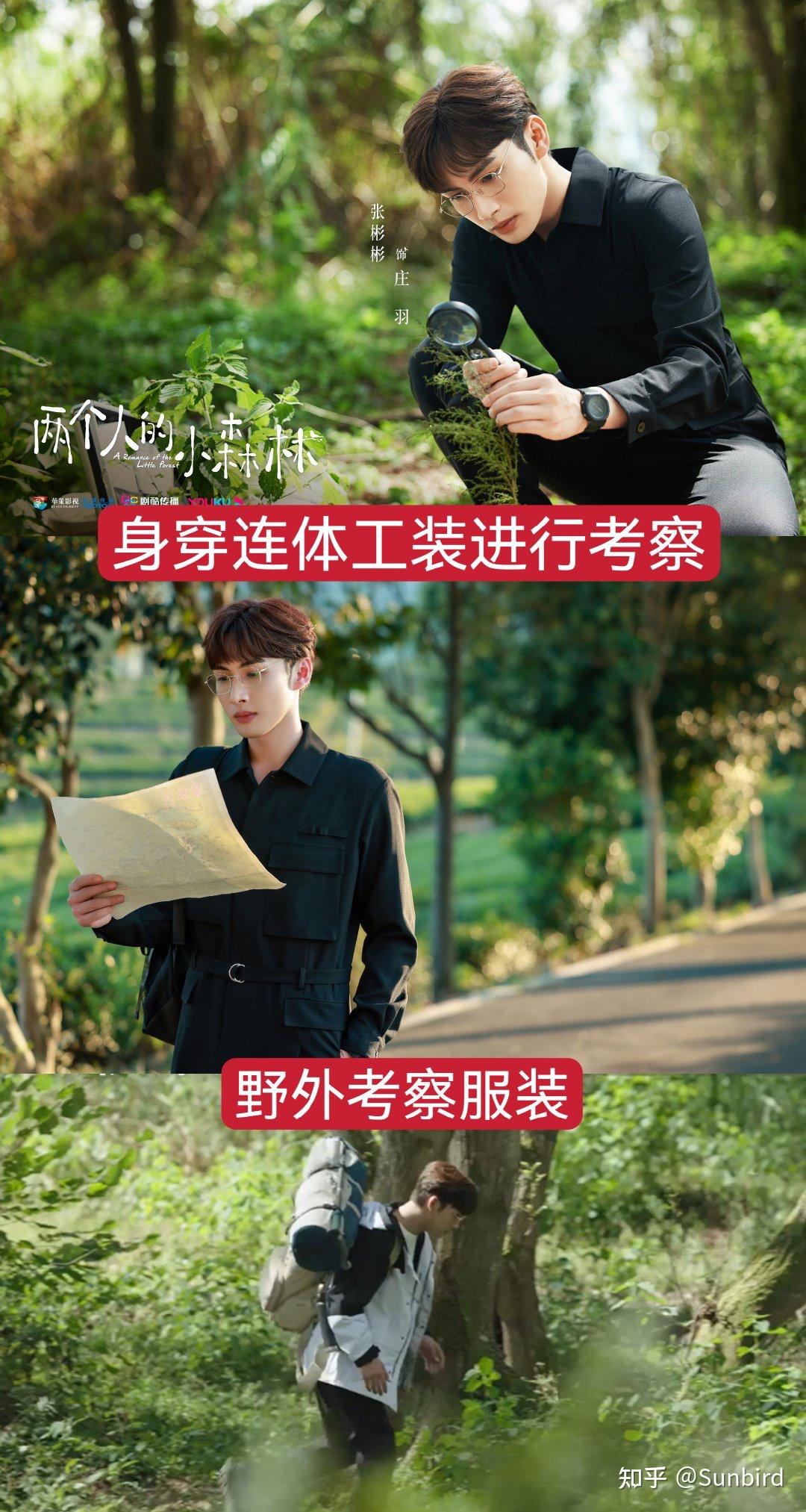 两个人的小森林追剧日历，浪漫与期待的交织