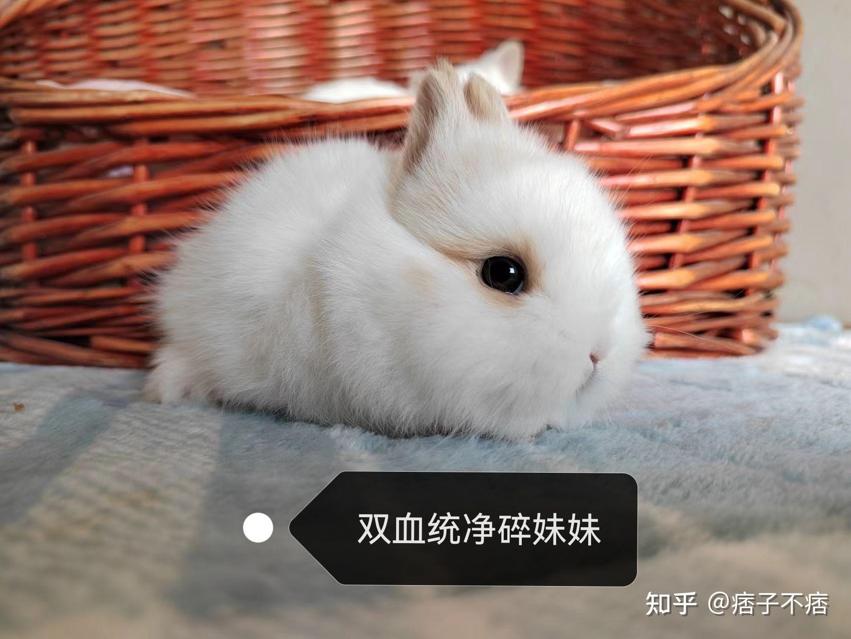 被男友咬小兔兔的感觉知乎关于被男友咬小兔兔的体验分享-第2张图片