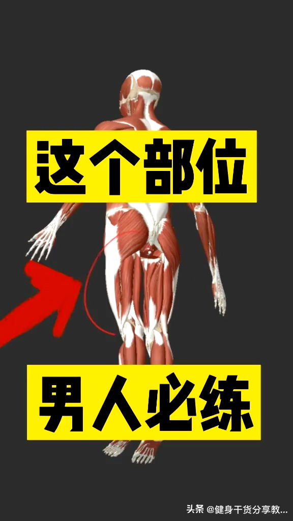 不想痛就把腿分到最大章节关于不想痛就把腿分到最大的探讨-第1张图片