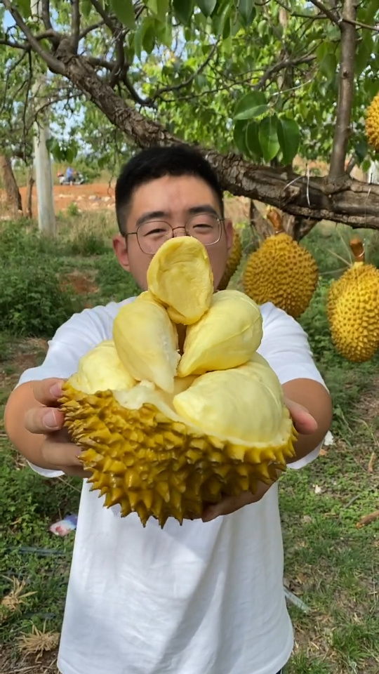 榴莲视频下载安装榴莲视频下载安装教程
