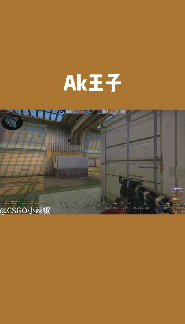CSGO中的小辣椒，暴躁妹妹的独特游戏体验-第1张图片