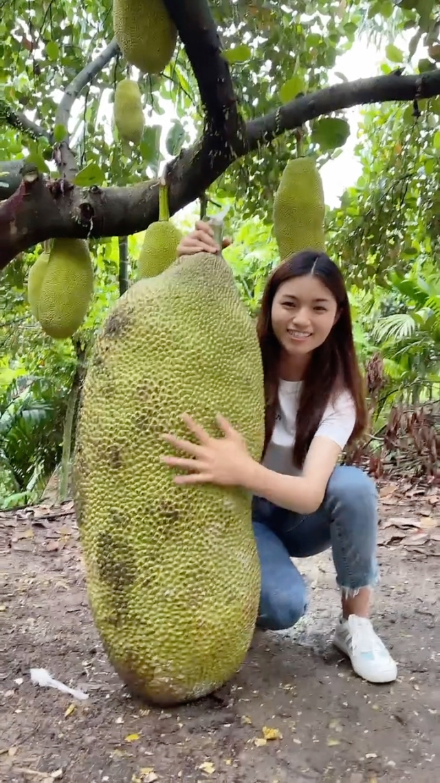 菠萝蜜app视频下菠萝蜜APP视频观看，探索无限乐趣的数字世界-第3张图片