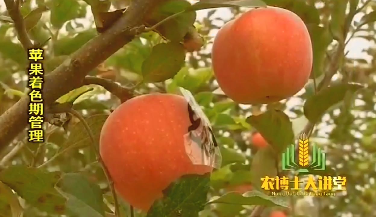 萝卜视频app萝卜视频app，探索其魅力与功能