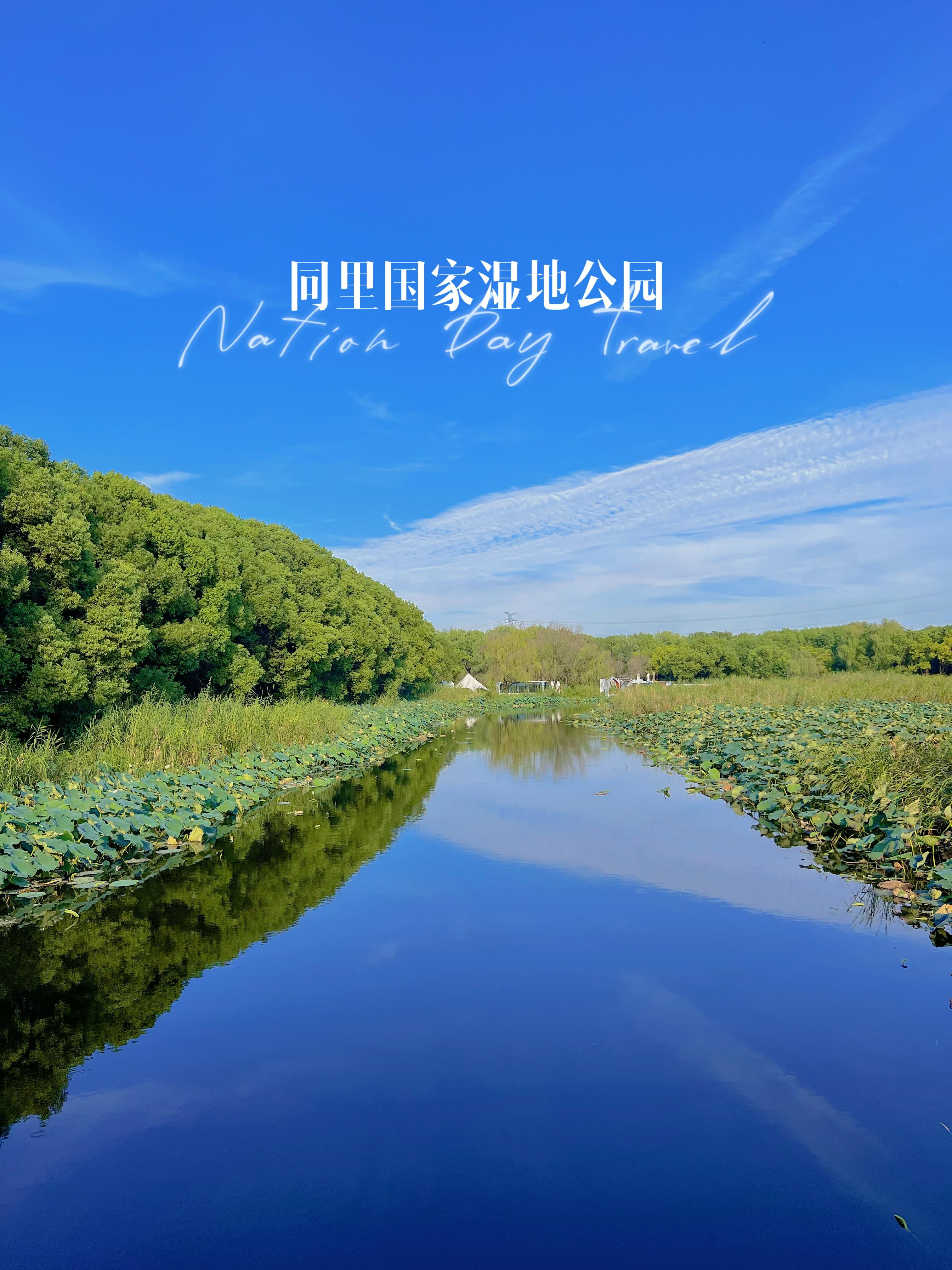 探索未知的森林——迈开腿尝尝你的森林什么感觉-第2张图片