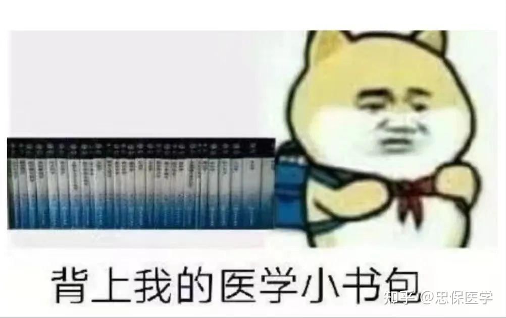 选我还是选它，一场1v1的较量