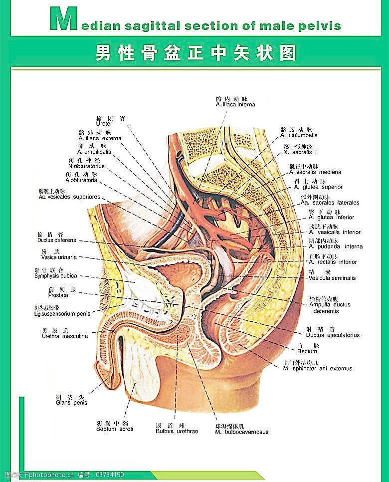 色老头人体图片图库色老头人体图片的探讨与思考-第3张图片