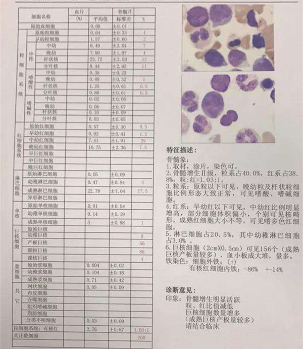六年级脱身检查的全面解读-第2张图片