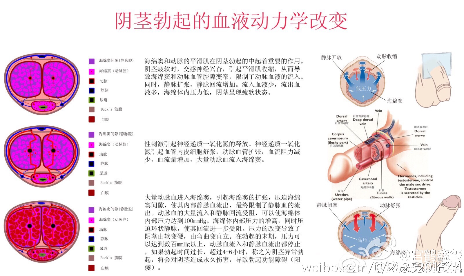 J8又大又粗又长又硬探索J8的魅力，大、粗、长、硬的特点与优势-第2张图片