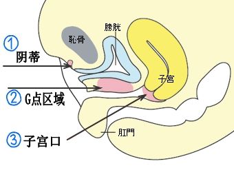 探索潮流中的高潮体验——以HNP为例的流澡现象