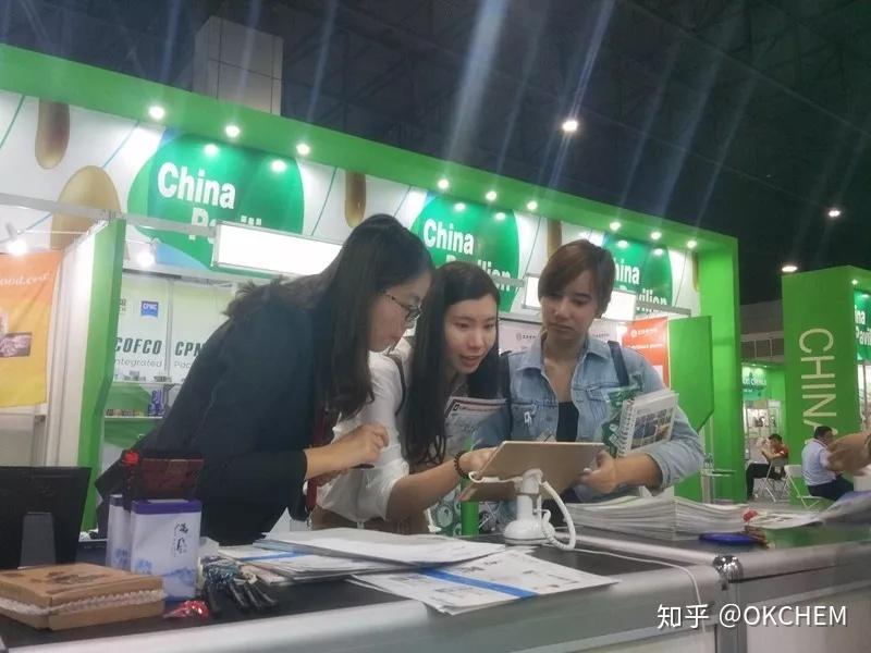 探索亚洲中文在线精品国产的魅力-第2张图片