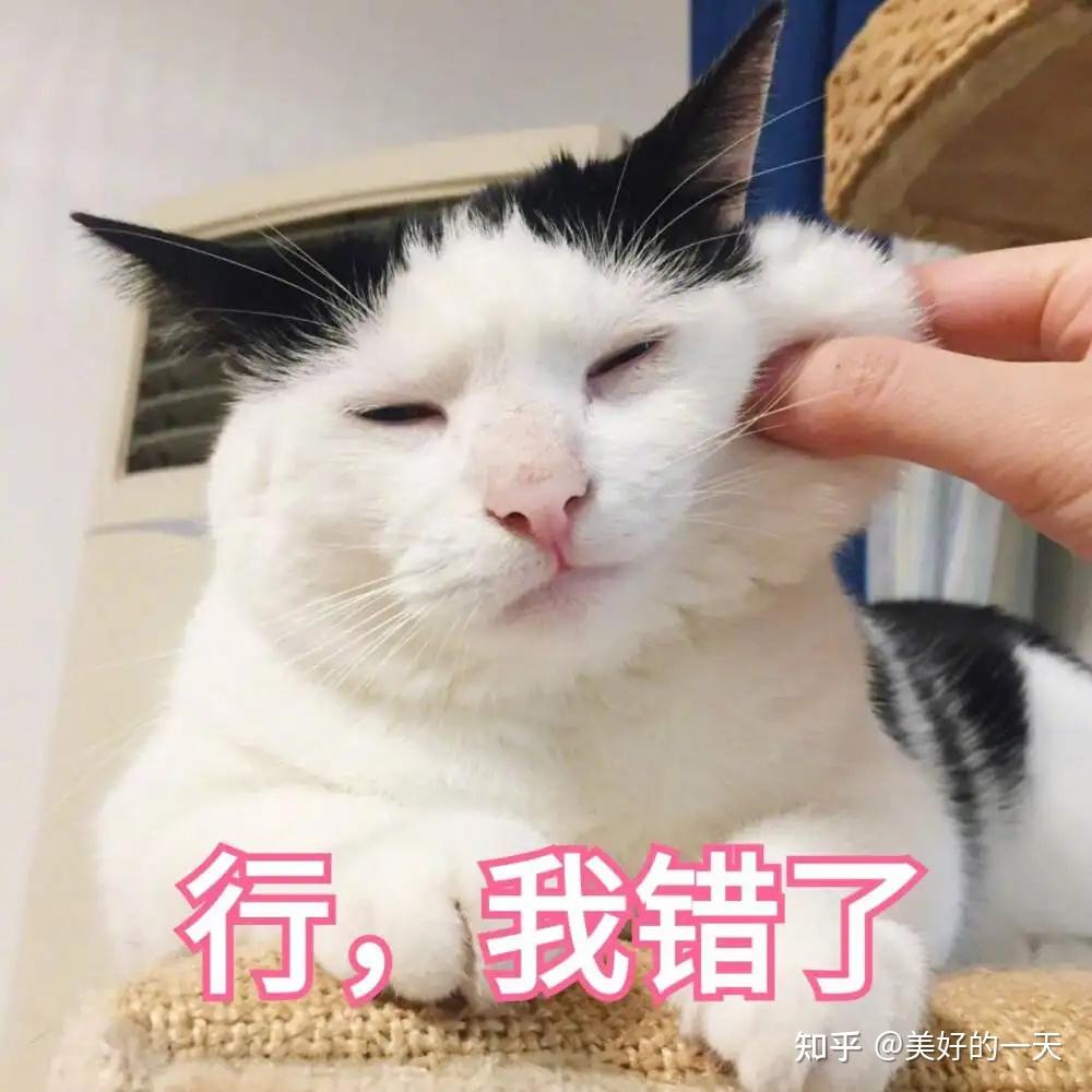 主人我错了能不能关掉开关忘我深感懊悔，请主人能否关掉那道开关？-第2张图片