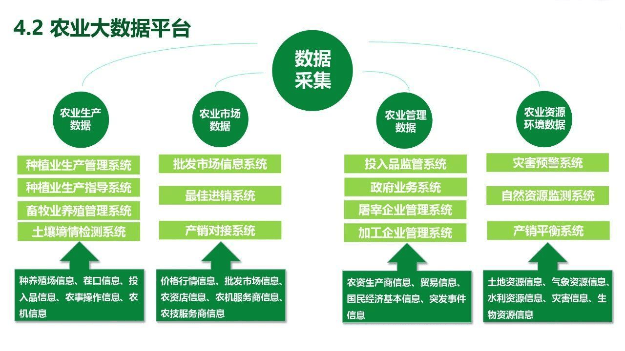 种子在线，农业科技的未来与希望-第2张图片