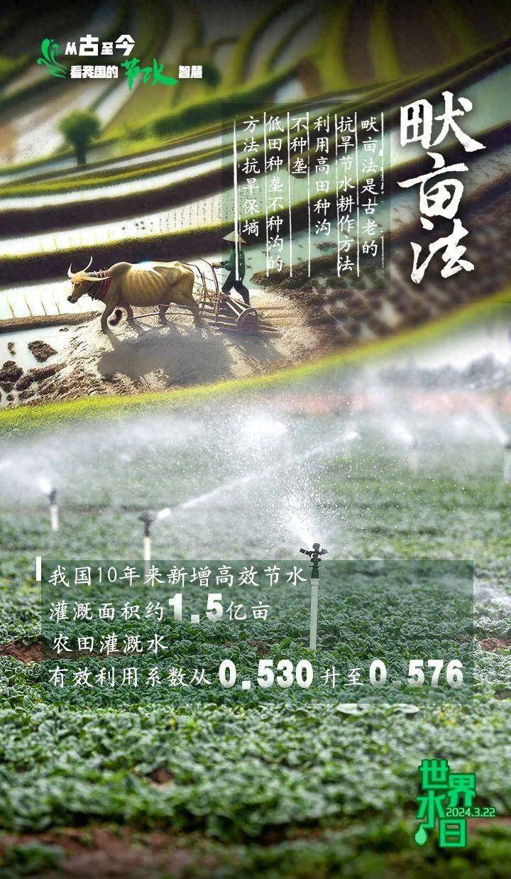 YI灌溉系统，引领现代农业的智慧之水