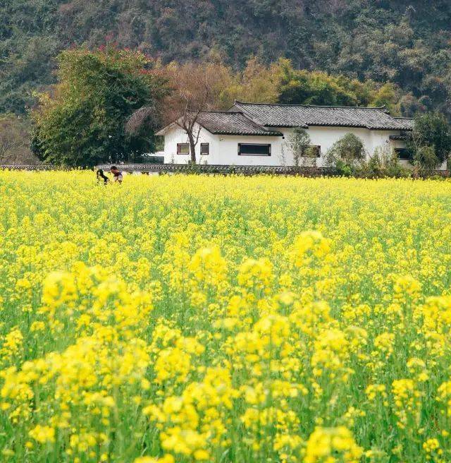 爱上你的笑容——我心中最美的风景-第3张图片