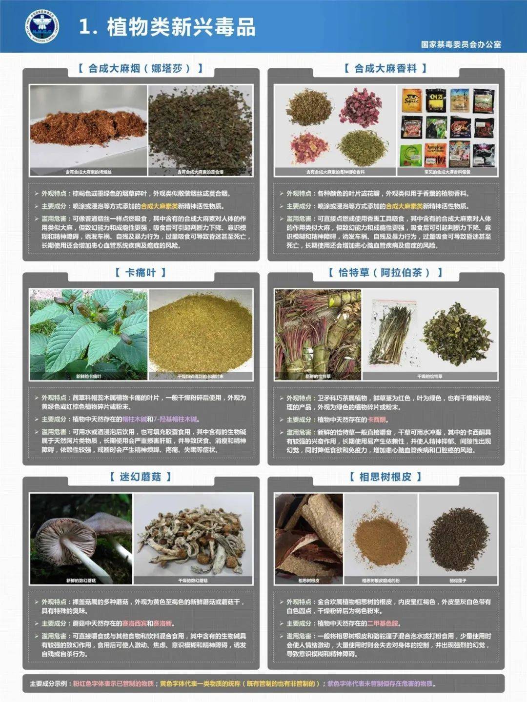 远离不良内容，珍爱健康生活-第2张图片