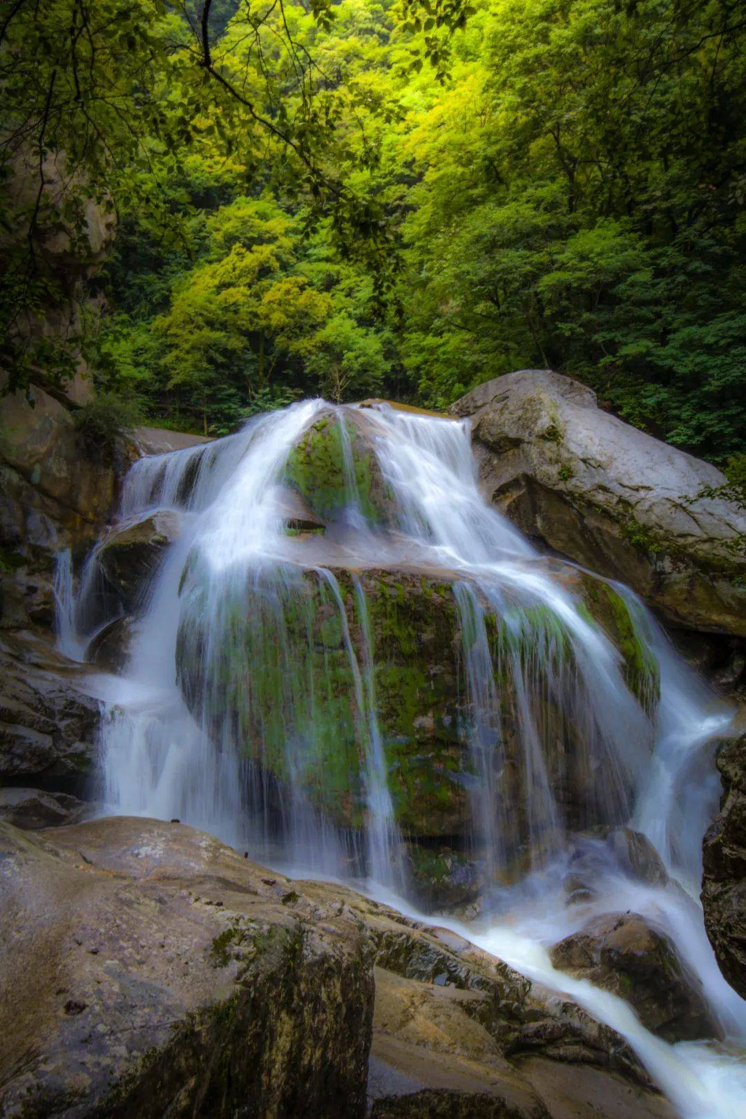 水汪汪的桃花源，寻觅心灵的净土-第3张图片