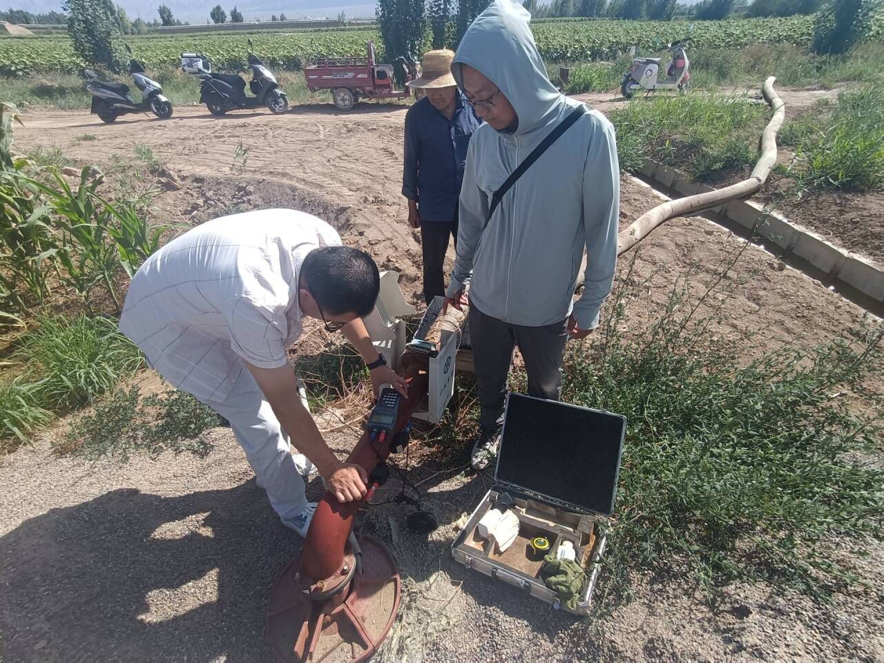系统灌溉的日常系统灌溉的日常