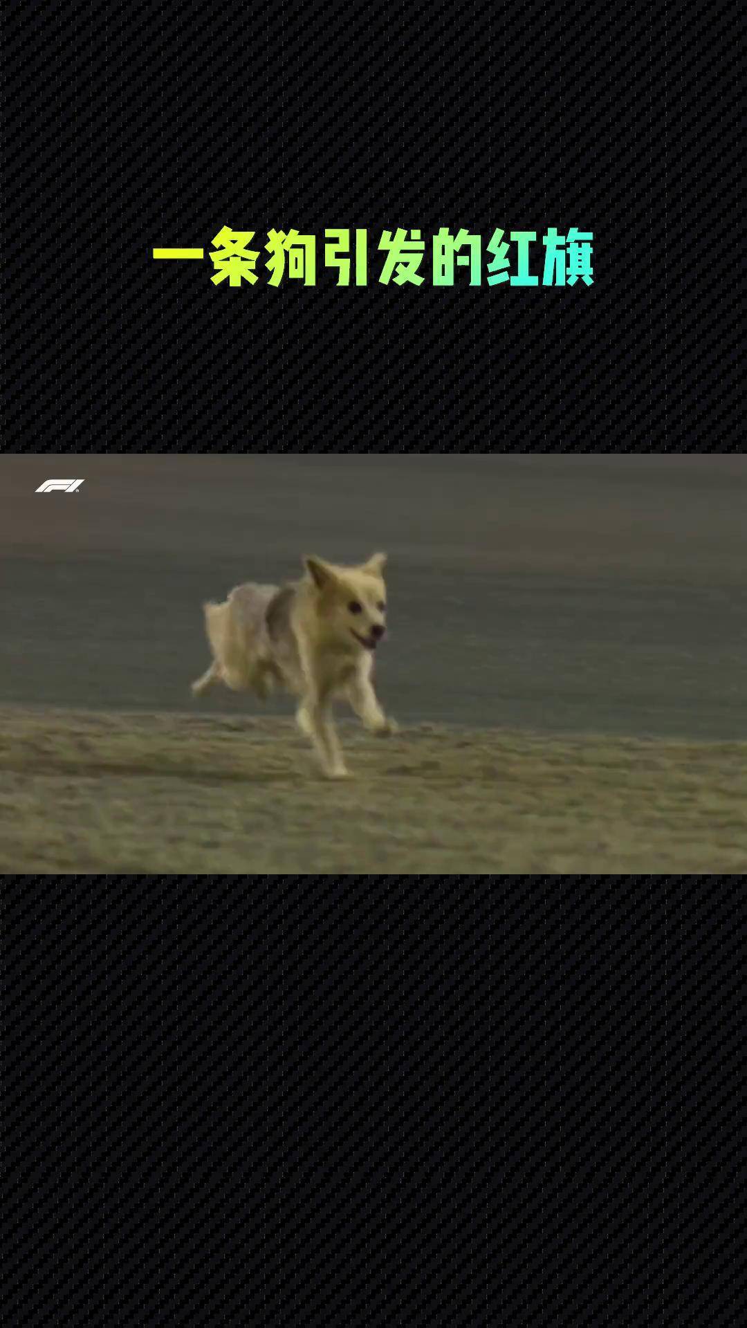 快狗视频改成什么了快狗视频，引领新媒体时代的潮流-第1张图片