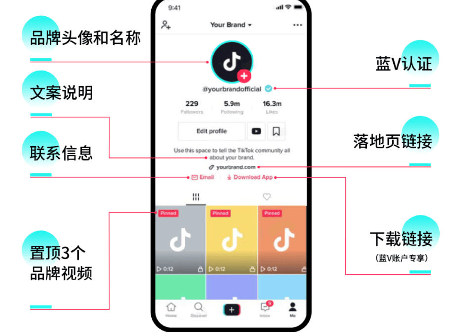 抖抈app免费下载国际版，全球潮流，触手可及-第2张图片