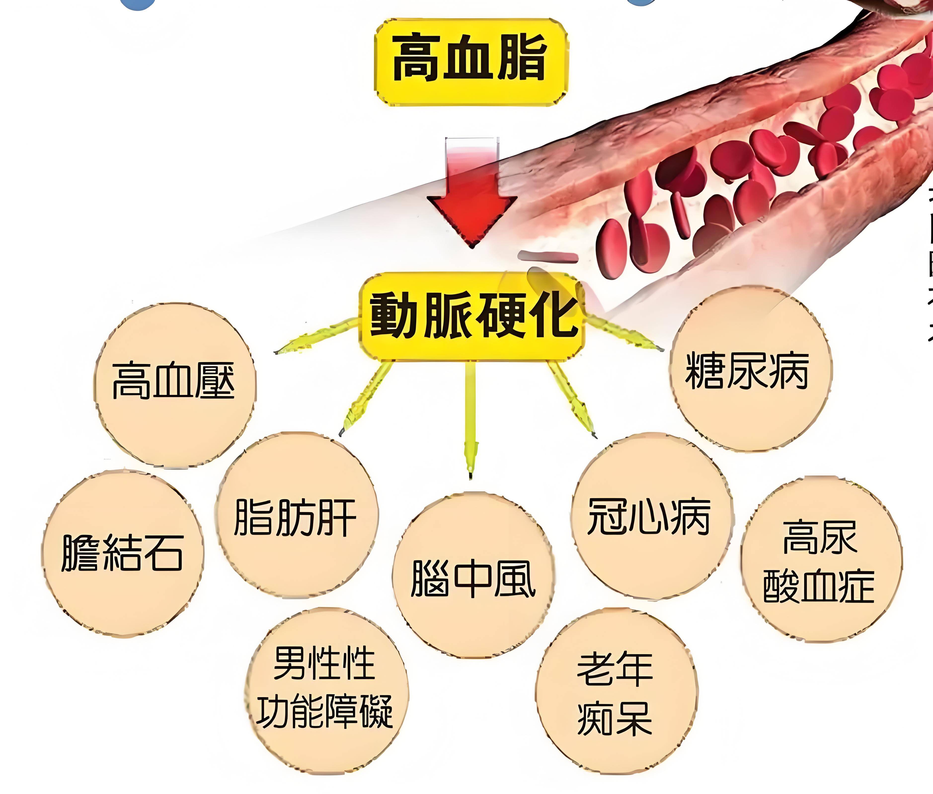 一亲二膜三叉四强五注射探索人体奥秘的五个阶段-第1张图片