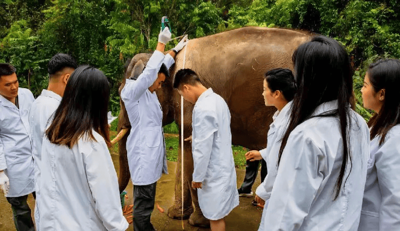 探索亚洲一级毛片，免费观看的多元文化体验