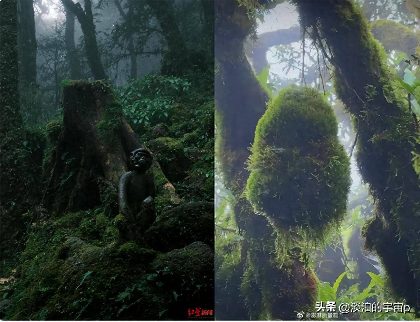 赛尔号乌托卡，星际探险的神秘之旅-第2张图片