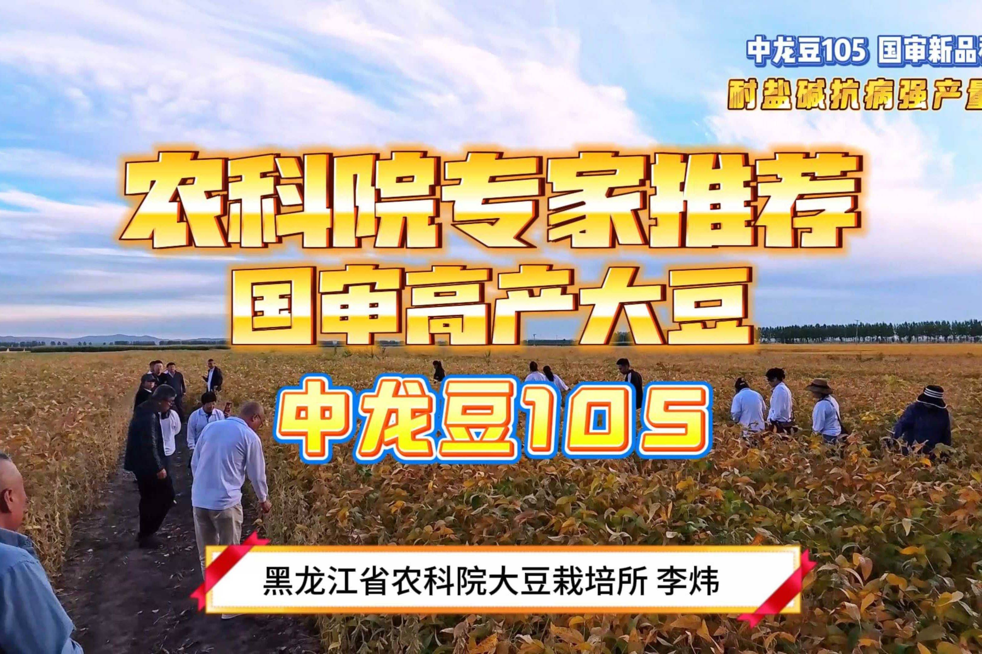 中国对白刺激大豆的种植与市场前景-第1张图片